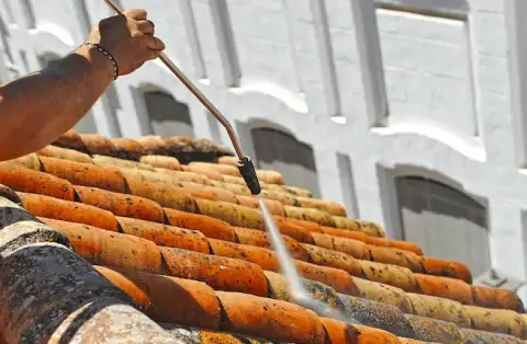 Nettoyage de toitures - Dadonville